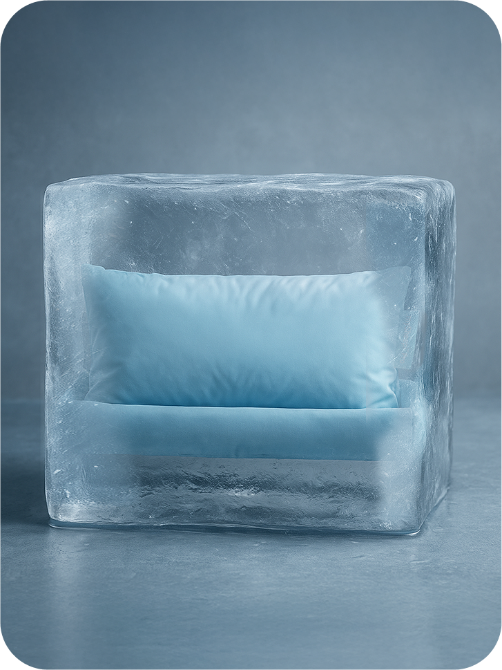 Teures Kissen mit wenig ergonomischen Vorteilen